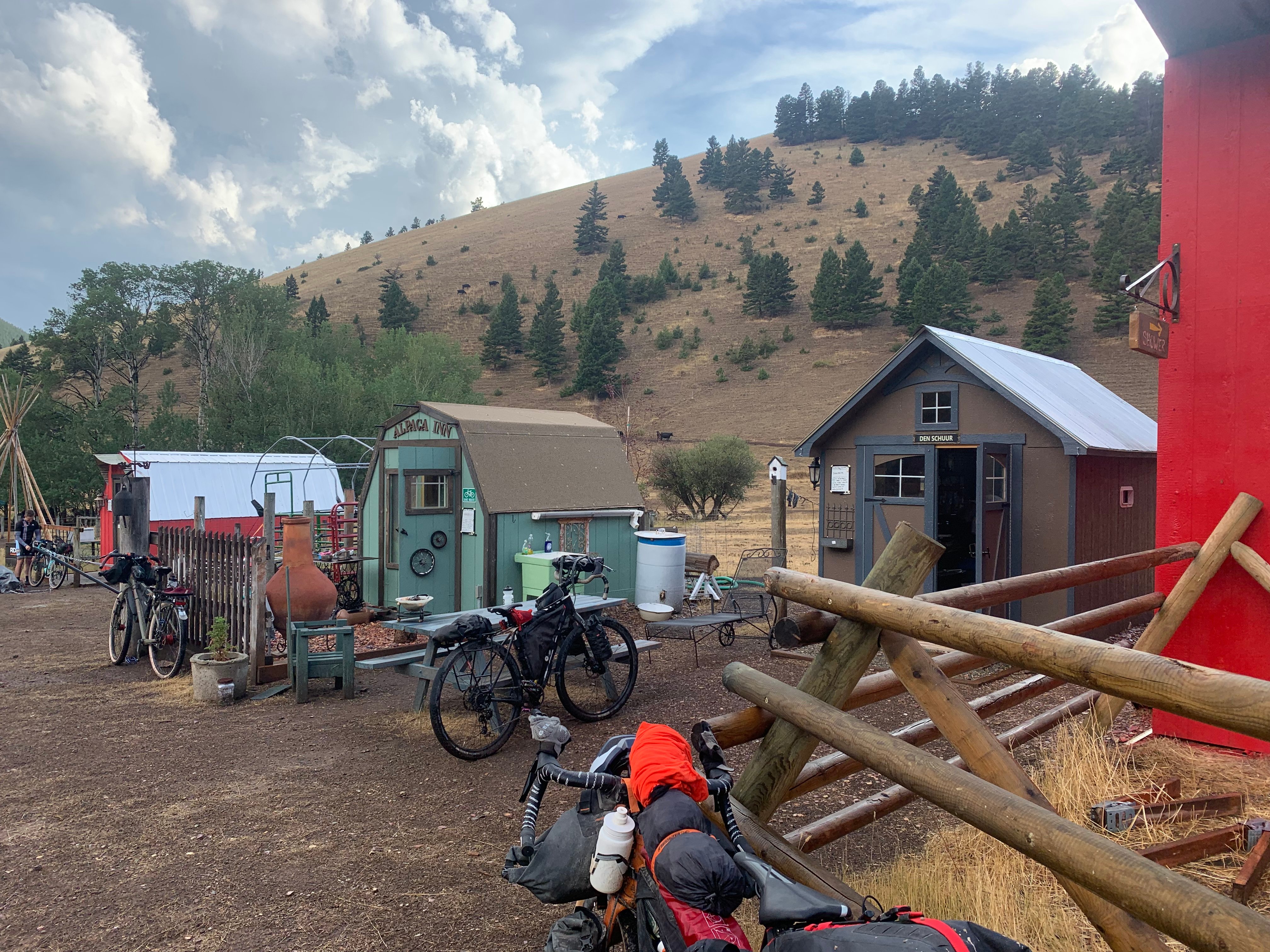 Alpaca Farm - Great Divide Trail 